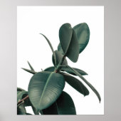 Groen tropisch Plant Poster (Voorkant)