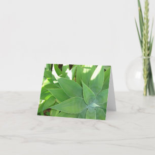 Groen v2 kaart