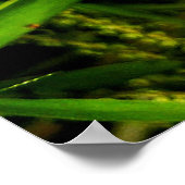 groen van de natuur poster (Hoek)