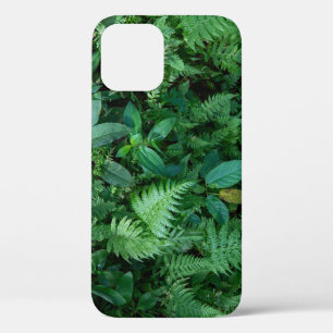 Groen varengras loof textuur iPhone 12 hoesje