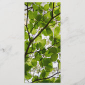 Groen verkenningsmenu menu (Achterkant)