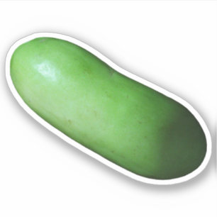 Groen vierkant (wintermeloen) sticker