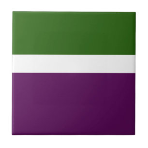 Groen Wit Paarse Plain Color Block Design Tegeltje