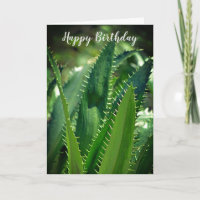 Groen Zee Leaf Garden Plant Happy Birthday
