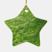 Groen Zee Mos Natuur Grass Beach Nautisch Keramisch Ornament (Achterkant)