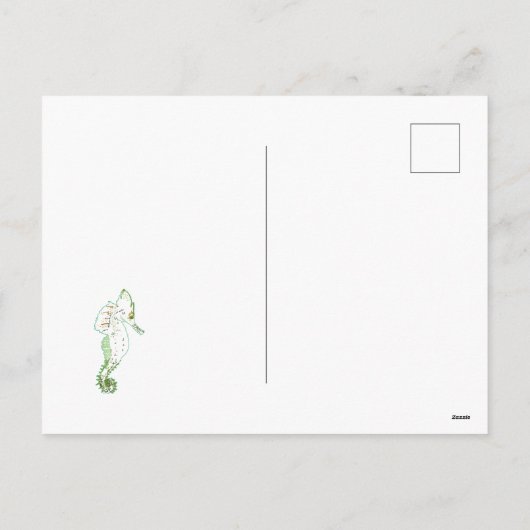 Groen Zee PaardGroetjes Briefkaart (Achterkant)