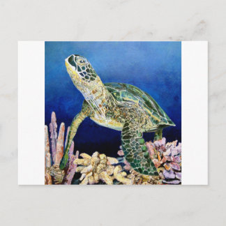 Groen Zee schildpad Briefkaart