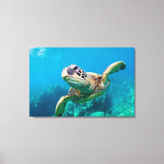 Groen Zee schildpad zwemt over koraalrif |Hawaii Canvas Afdruk (Voorkant)