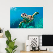 Groen Zee schildpad zwemt over koraalrif |Hawaii Poster (Thuiskantoor)