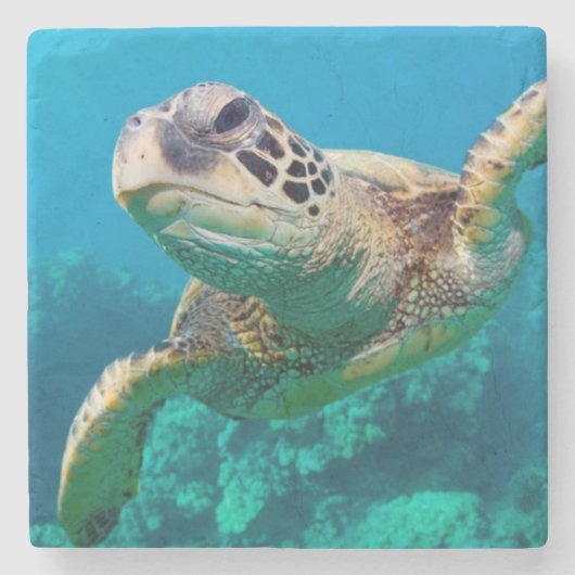 Groen Zee schildpad zwemt over koraalrif |Hawaii Stenen Onderzetter (Voorkant)