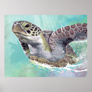 Groen Zee Turtle Poster