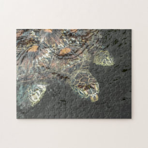 Groen Zee Turtle Puzzle Legpuzzel