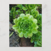 Groen zuinig briefkaart (Voorkant)