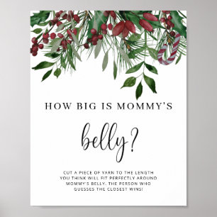 Groenblijvende hoe groot is mama's buik spel poster