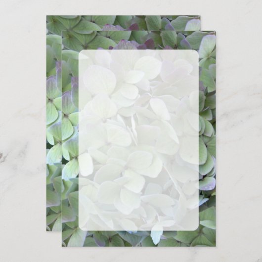 Groenboek over het programma Green Hydrangea Weddi (Voorkant / Achterkant)