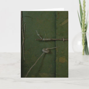 groenboek over rijst kaart