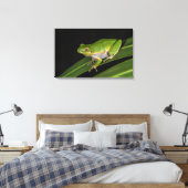 Groenboomkikker (Hyla cinerea) 2 Canvas Afdruk (Insitu (Slaapkamer))
