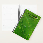 Groene aangepaste planner 2023 (Display)