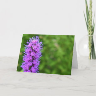 Groene Aarde Kaart