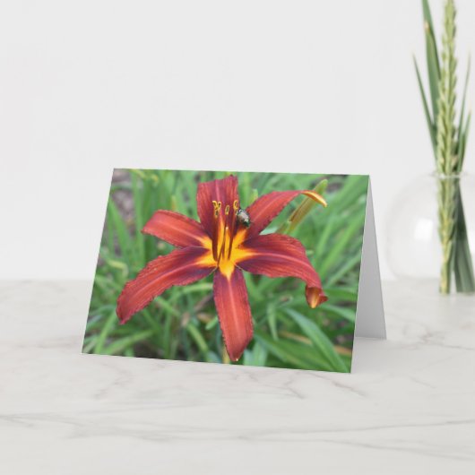 Groene Aarde Kaart (Voorkant)