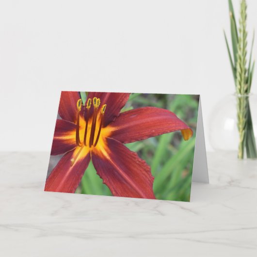 Groene Aarde Kaart (Voorkant)