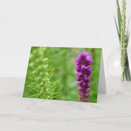 Groene Aarde Kaart (Voorkant)