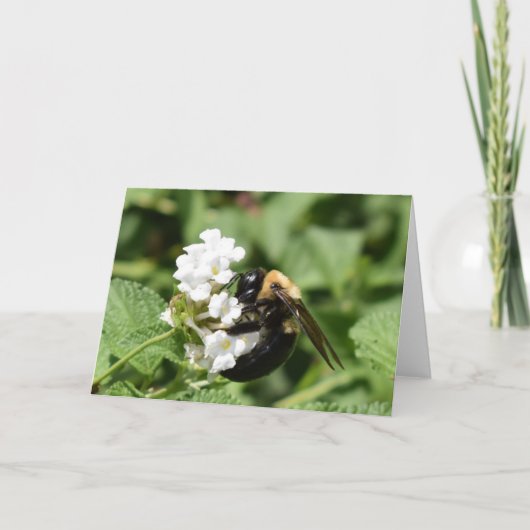 Groene Aarde Kaart (Voorkant)