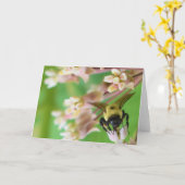 Groene Aarde Kaart (Gele Bloem)