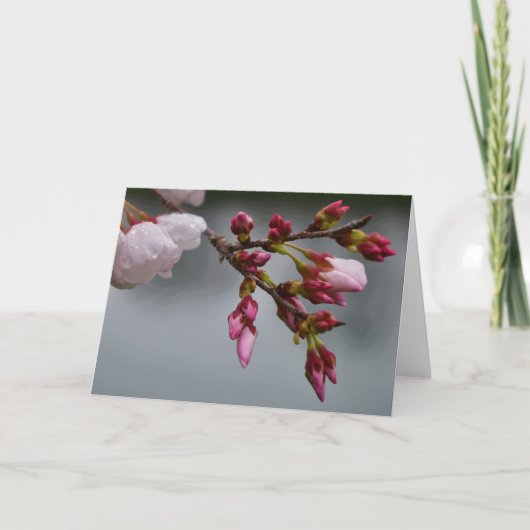 Groene Aarde Kaart (Voorkant)