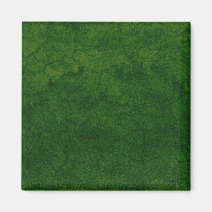 Groene Aarde Magneet