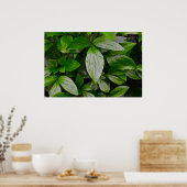 Groene aarde, poster (Keuken)