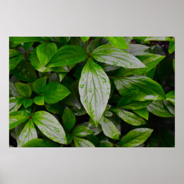 Groene aarde, poster