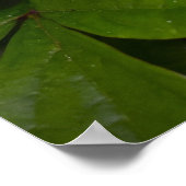 Groene aarde, poster (Hoek)