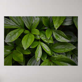 Groene aarde, poster