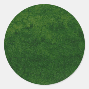 Groene Aarde Ronde Sticker
