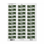 Groene Abstracte Fractal Return Address Sticker (Full Sheet)