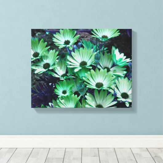 Groene Afrikaanse madeliefjes Abstracte bloem Canvas Afdruk (Insitu (Houten vloer))