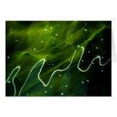 Groene algen en water gccnm (Voorkant Horizontaal)