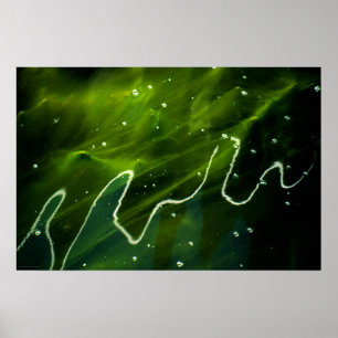 Groene algen en waterlopen poster