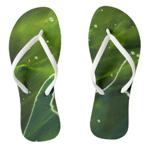 Groene algen en waterstof teenslippers