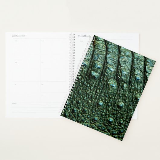 Groene alligator huidtextuur planner (Display)
