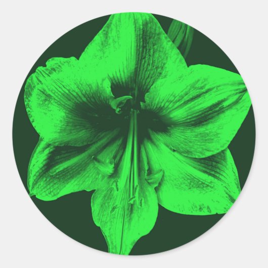 Groene Amaryllis Ronde Sticker (Voorkant)