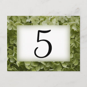 Groene Annabelle Hydrangea-bloknummers Briefkaart