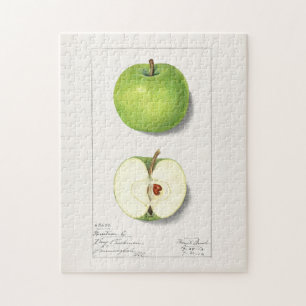 Groene appelen (Malus Domestica) Vruchtschildering Legpuzzel