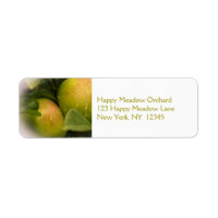Groene appels, vers, met een dunne rand