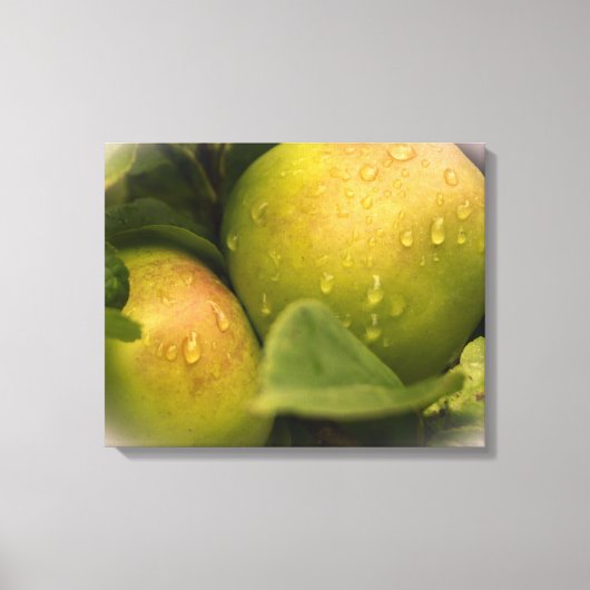 Groene appels, vers, met waterdruppels canvas afdruk (Voorkant)