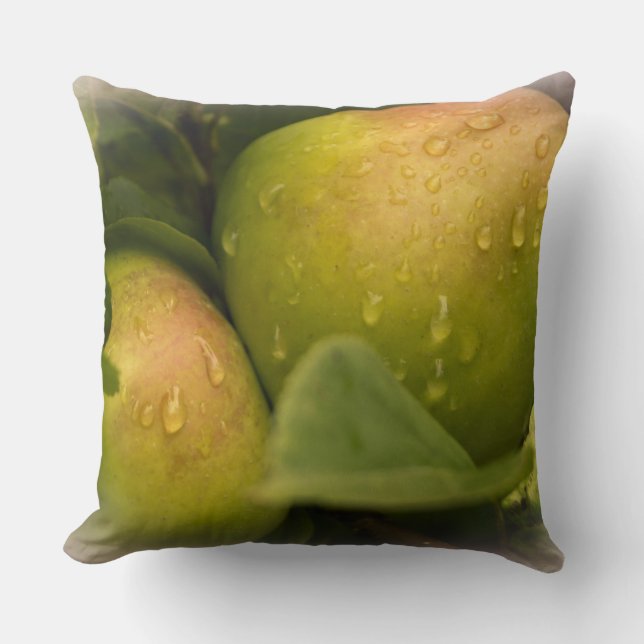 Groene appels, vers, nog in de boom kussen (Voorkant)