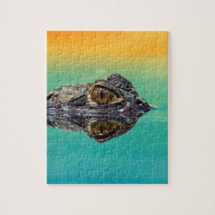 Groene Baby krokodil in water met blauw en Sinaasa Legpuzzel