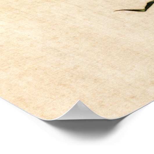 Groene Bamboe en Morning Glory Fine Art Poster (Hoek)