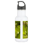 Groene Banaan Kaleidoscoop Art Print/Graphic Waterfles (Achterkant)